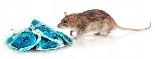 SILNA TRUTKA NA MYSZY I SZCZURY MURIBROM PASTA W SASZETKACH BRODIFAKUM na Arena.pl