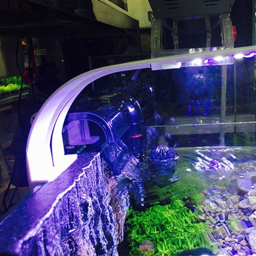 OŚWIETLENIE LED DO AKWARIUM BIAŁA LAMPKA AKWARYSTYCZNA BIAŁE ŚWIATŁO 10W na Arena.pl