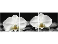 product-compare-58647497