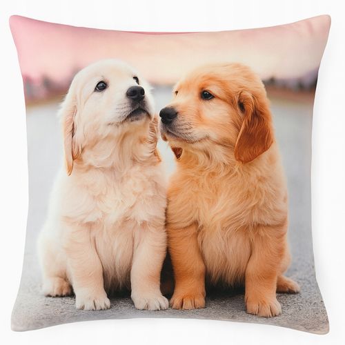 Poszewka Dekoracyjna 45x45 Zwierzęta Koty Psy - Miękka, Welurowa WZORY na Arena.pl