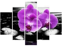 105CM 150CM OBRAZ 5 ELEM OSTOJA PIĘKNA DRUK