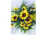 product-compare-58656289