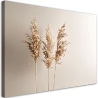 Obraz do salonu kuchni biura, Trawa pampasowa rośliny natura 90x60
