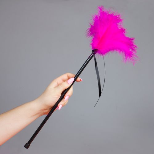 Plumero Plumas Fucsia na Arena.pl