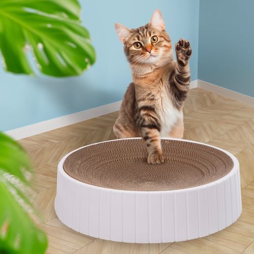 zestaw drapak z dodatkowym wymiennym wkładem dla kota ekologiczny tekturowy na Arena.pl