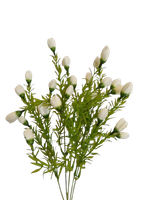 Bukiet kwiatków wiosennych białe pęczek 5 szt.