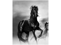 product-compare-58650558