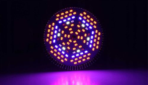 ŻARÓWKA DO WZROSTU ROŚLIN E27 150 LED 100W 11250lm na Arena.pl