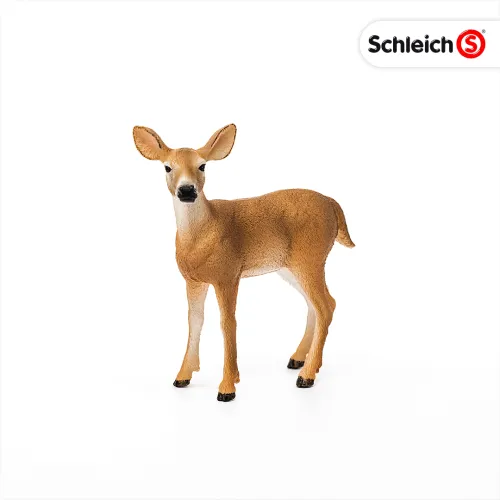 Wild Life. SLH14819. Mulak białoogonowy na Arena.pl