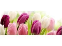 100X40CM SOCZYSTE TULIPANY OBRAZ DREWNO