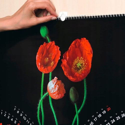 TESA POWERSTRIPS Haczyki samoprzylepne do ramek zdjęć obrazów 1kg na Arena.pl