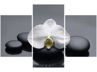 90X60CM OBRAZ BIAŁY STORCZYK