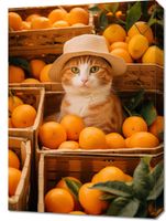 product-compare-59471112