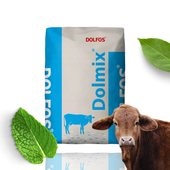 Witaminy dla jałówek cielnych Dolmix BJC DOLFOS 2 KG