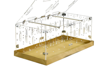 Klatka Akrylowa dla Świnki Morskiej 60x30 cm z Pokrywą Przezroczysta