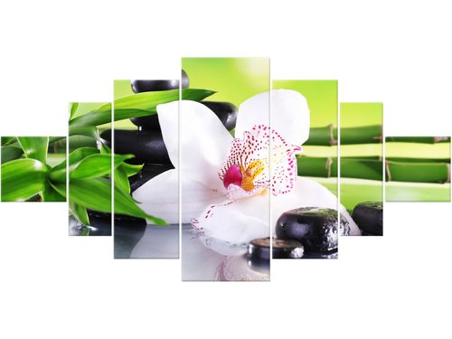 Obraz drukowany płótno 7 elementów 200x100 GRATIS na Arena.pl