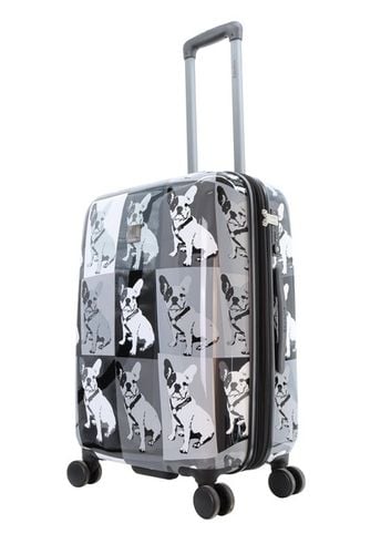 Walizka średnia SAXOLINE BULLDOG Mono  M na Arena.pl