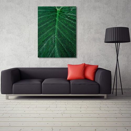 Deco Panel, Krople wody na liściu 2 40x50 na Arena.pl
