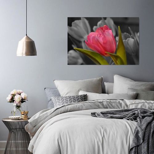 Obraz na płótnie - Canvas, Czerwony tulipan 40x30 na Arena.pl