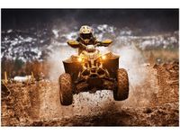 OBRAZ OFFROAD QUAD