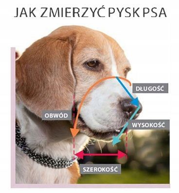 Kaganiec Dla Psa Metalowy Owczarek Niemiecki Pies na Arena.pl