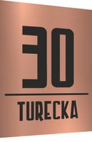 Tabliczka Tablica ADRESOWA ALUMINIOWA 30x20 dibond NUMER DOMUm miedziana