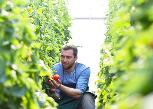 AGROSAR 360SL 20L Herbicyd na Arena.pl