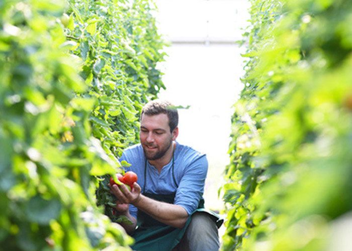 AGROSAR 360SL 20L Herbicyd zdjęcie 2