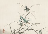 Plakat 66,5x46,5cm Grasshopper, Kōno Bairei Japoński Vintage do Salonu