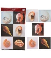 naklejki samoprzylepne muszle 17,5 x 17,5 cm - 6 szt.