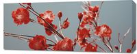 Obraz 100x40cm Szkarłatna Wiosna