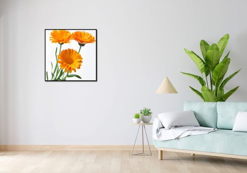 Plakat 70x70cm Słoneczne Kalendule na Arena.pl