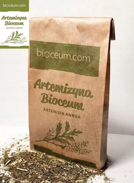 Zestaw 5x Bylica Roczna Plus Gratis zdjęcie 1