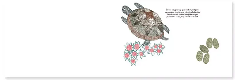 Narodziny zdjęcie 10