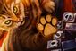 thumbnail-5