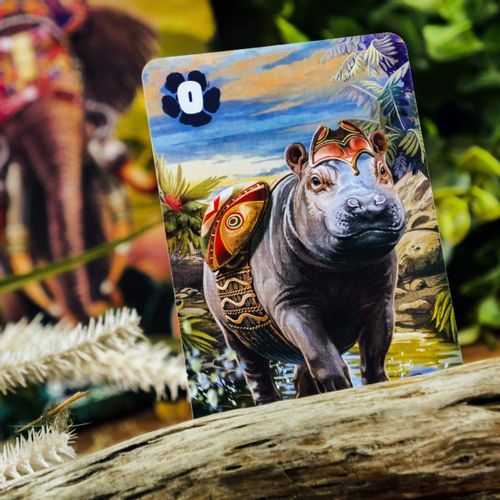 Gra Ryki Afryki na Arena.pl