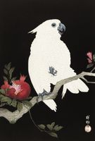 Plakat 67,5x100cm Cockatoo and Pomegranate 2, Koson Vintage do Salonu