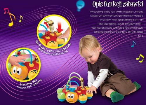Zakręcona Biedronka Dumel Discovery na Arena.pl