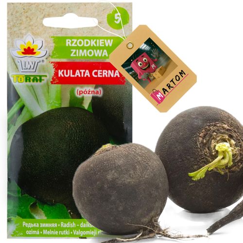 Rzodkiew Czarna Kulata Cerna 5G Nasiona Rzodkwi na Arena.pl