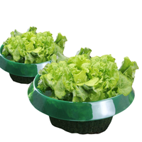 Kołnierze Przeciw Ślimakom 12 Sztuk PET Ochrona Roślin do Ogrodu Bez Chemii