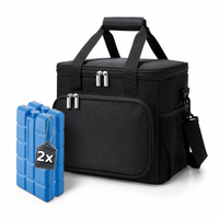 torba termiczna do przenoszenia żywności lunch box 15l + 2 wkłady c