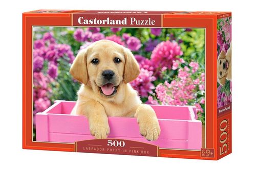 CASTORLAND Puzzle 500 EL. Labrador na Arena.pl