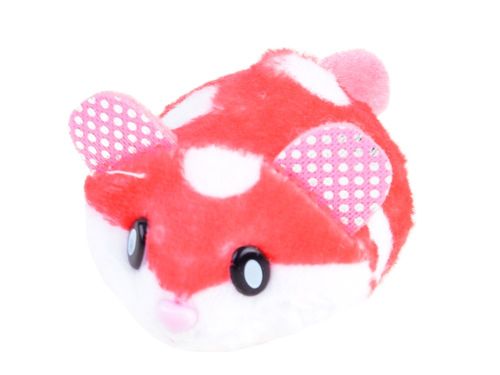 ZESTAW ZABAWNYCH ZAJĘĆ DLA CHOMIKA na Arena.pl