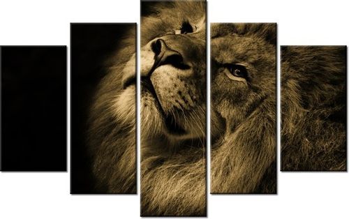 70 100CM OBRAZ 5 ELEM ZŁOTY LEW DRUK PŁÓTNO na Arena.pl