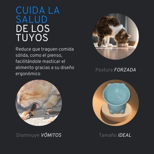 Podwyższona Miska dla Kota 15 Stopni Kształt Kota Zielona Ergonomiczna na Arena.pl