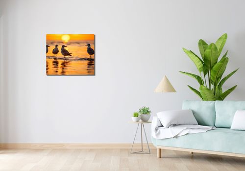 Obraz 60x50cm Mewia Gawęda na Arena.pl