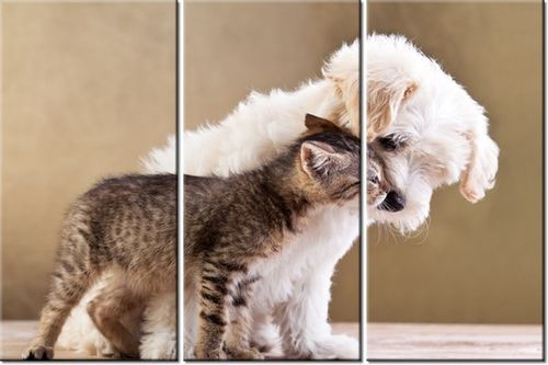 60 90CM OBRAZ 3 ELEM PRZYJACIELE DRUK PŁÓTNO RAMA na Arena.pl
