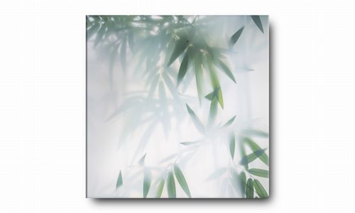 OBRAZ NA PŁÓTNIE 117 Zamglone liście 50x50cm na Arena.pl