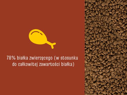 josicat josera tasty beef 10kg na Arena.pl