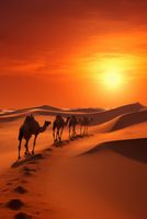 Plakat 68x101cm Karawana na Pustyni